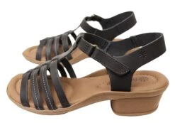 New Face Jaslyn Womens Brazilian Comfortable Leather Low Heel Sandals(New Face Jaslyn Womens Brazilian Comfortable Leather Low Heel Sandals) -Skechers Sale Store IMG 8255 433ec5a7 8e2c 4dc8 88ef 9b0aed7825c2