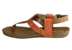 Andacco Yory Womens Comfort Flat Leather Sandals Made In Brazil(Andacco Yory Womens Comfort Flat Leather Sandals Made In Brazil) -Skechers Sale Store IMG 8322 eb374dca 07cc 4aca b003 9bc0f2863b29