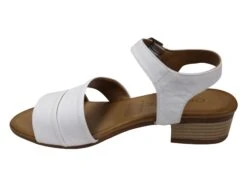 Orizonte Jojo Womens European Leather Low Heel Comfortable Sandals(Orizonte Jojo Womens European Leather Low Heel Comfortable Sandals) 21 Orizonte Jojo Womens European Leather Low Heel Comfortable Sandals(Orizonte Jojo Womens European Leather Low Heel Comfortable Sandals) -Skechers Sale Store IMG 8785 3ba79c60 d148 4b01 af07 23450c491bbc