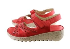 Orizonte Blanche Womens European Comfortable Leather Sandals(Orizonte Blanche Womens European Comfortable Leather Sandals) -Skechers Sale Store IMG 8834 0b60b01a 60f0 4672 a241 3491837dd2e8