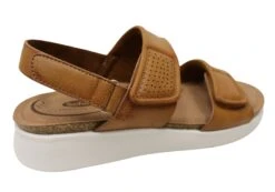 Scholl Orthaheel Tiana Womens Comfortable Sandals(Scholl Orthaheel Tiana Womens Comfortable Sandals) -Skechers Sale Store IMG 8882 eb4c0092 0714 4461 94bf abebe1021d01