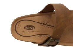 Scholl Orthaheel Brittany Womens Comfortable Thongs Sandals(Scholl Orthaheel Brittany Womens Comfortable Thongs Sandals) -Skechers Sale Store IMG 8933 a5ddb69c c609 4d13 9ef2 887558faadc0