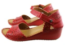 Orizonte Franni Womens European Comfortable Leather Wedge Sandals(Orizonte Franni Womens European Comfortable Leather Wedge Sandals) -Skechers Sale Store IMG 9000 87ff1ba0 fc40 4b02 ac76 2485cc6fb52b