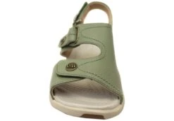 Homyped Fargo Womens Supportive Comfortable Sandals(Homyped Fargo Womens Supportive Comfortable Sandals) -Skechers Sale Store IMG 9295