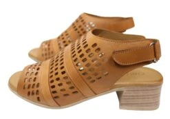 Orizonte Jazela Womens European Leather Low Heel Comfortable Sandals(Orizonte Jazela Womens European Leather Heel Comfortable Sandals) 29 Orizonte Jazela Womens European Leather Low Heel Comfortable Sandals(Orizonte Jazela Womens European Leather Heel Comfortable Sandals) -Skechers Sale Store IMG 9444 2a251f0d 83ed 4156 af80 22eb82471b4d